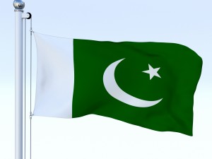 animated pakistan flag Model 3D