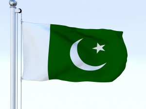 animated pakistan flag Model 3D