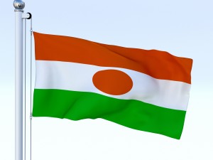 animated niger flag Modelo 3D