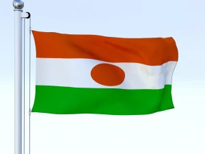 animated niger flag 3D Model