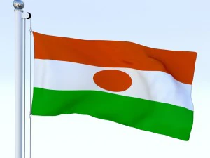 animated niger flag 3D Model