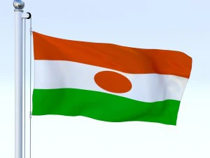 animated niger flag 3D Model