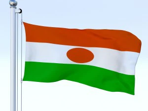 animated niger flag 3D Model