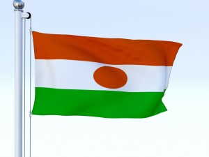 animated niger flag Model 3D