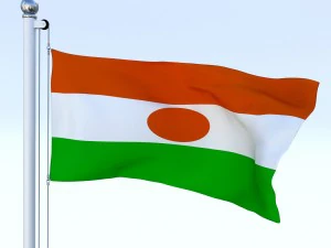 animated niger flag 3D Model
