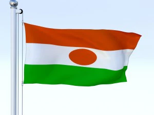 animated niger flag 3D Model