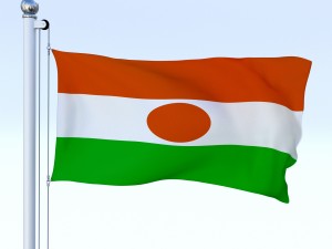animated niger flag Model 3D