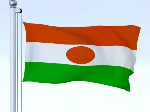 animated niger flag 3D Model