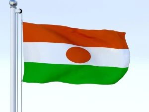 animated niger flag 3D Model