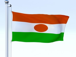 animated niger flag Model 3D