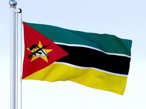 animated mozambique flag Modèle 3D