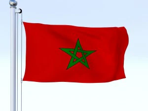 animated morocco flag 3D Model