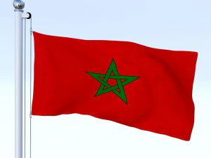 animated morocco flag 3D Model