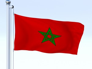 animated morocco flag 3Dモデル