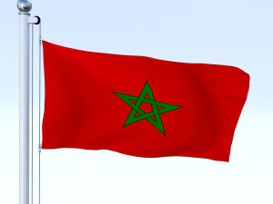 animated morocco flag 3D Model