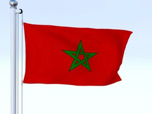 animated morocco flag 3D Model