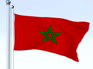 animated morocco flag 3D Model