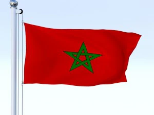 animated morocco flag 3D Model