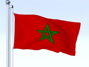 animated morocco flag 3Dモデル