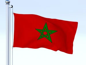 animated morocco flag 3D Model