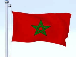 animated morocco flag 3D Model