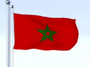 animated morocco flag 3Dモデル