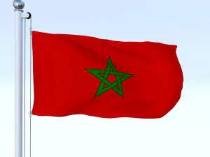 animated morocco flag 3D Model