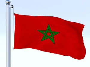 animated morocco flag 3D Model