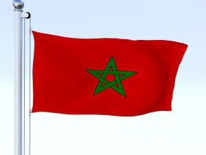 animated morocco flag 3D Model