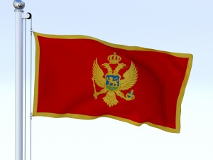 animated montenegro flag 3D मॉडल
