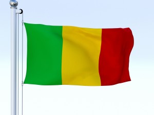 animated mali flag 3D Model