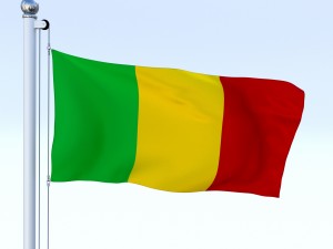 animated mali flag 3D Model