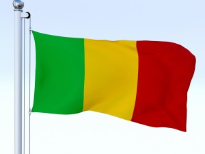 animated mali flag 3D Model