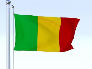 animated mali flag 3D Model