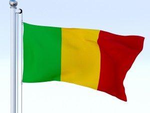 animated mali flag 3D Model