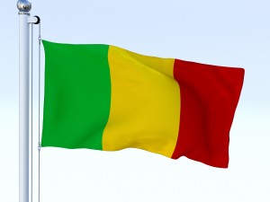 animated mali flag 3D Model