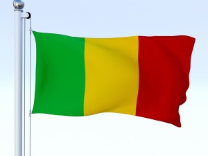 animated mali flag 3D Model