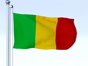 animated mali flag 3D Model