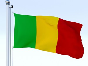animated mali flag 3D Model