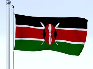 todo o pacote de bandeira africana Modelo 3D