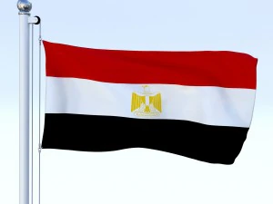 todo o pacote de bandeira africana Modelo 3D