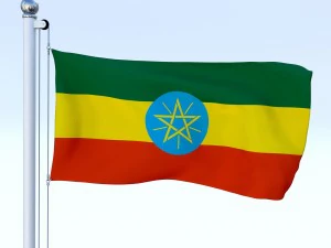 todo o pacote de bandeira africana Modelo 3D