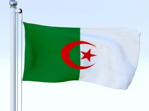 todo o pacote de bandeira africana Modelo 3D