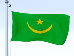 all african flag pack 3Dモデル
