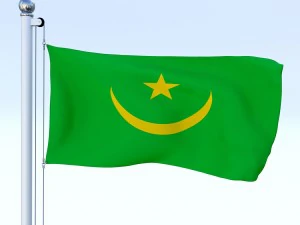 todo o pacote de bandeira africana Modelo 3D