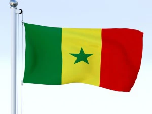 todo o pacote de bandeira africana Modelo 3D