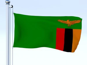 todo o pacote de bandeira africana Modelo 3D