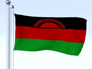 all african flag pack 3Dモデル