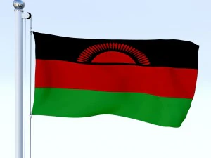 todo o pacote de bandeira africana Modelo 3D