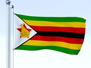 todo o pacote de bandeira africana Modelo 3D